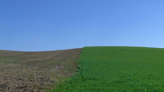 ...und weiter, und Pepe macht schoene Fotos...(Christiane weint jetzt, weil sie weiss wie ich bin...!)