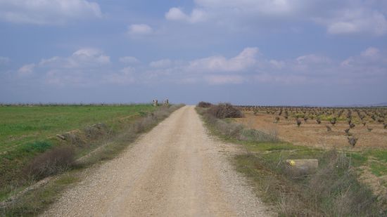 und ich gehe...und ich werde diesen Weg weitergehen, bis Finisterre....weil ich das will, und wenn ich was will, dann will pepe das...und ICH auch....