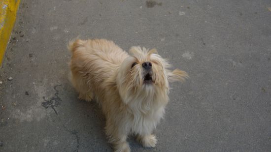 Pauli is mir lieber...ich liebe dich Tina, Pauli, Papa, Charly, Ilona....ALLE