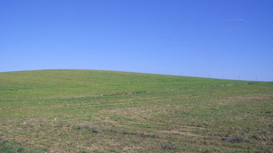 Regina Gina koennt sich hier so richtig austoben...ich schmeiss mal ein Stoeckchen...