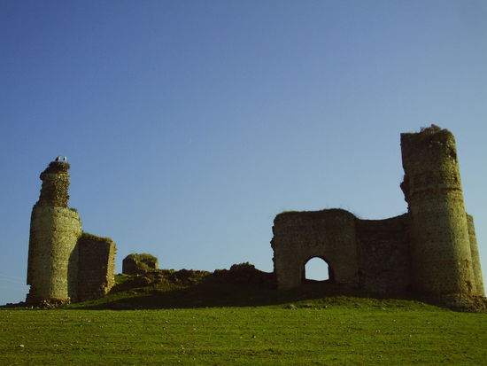 die beiden Storche da oben machens richtig, einmal zusammen, lieben sie sich, bis sie sterben....das find ich gut...keine Ehekriege, keine Scheidungen, Keine das gehoert dir und das mir kacke...einfach nur Leben...pepe