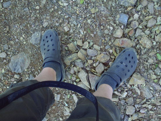 pepe und seine nachgemachten China-billig-Crocs...
Peggymaneggy, Klaus, Papa, Tina, Salute + Anhang....29.4., BM, VV, RH....ich liebe euch....