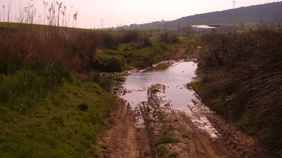 na toll und ich in meine Crocs...ab morgen muss ich wieder meine Schuhe tragen....abba die tun weh, wie alles andere auch, abba egal. 20km hoert sich so simple an, so laecherlich, so einfach. abba mach das ma jeden Tag , mit fremden Menschen, fremder Umgebung, und nem Bier das nicht halb so gut schmeckt wie WARSTEINER...hahahahah