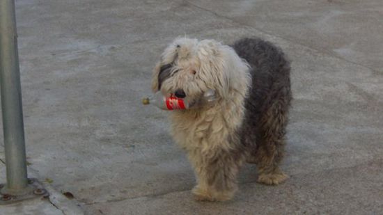 ...Christian, mein COCACOLA Berater und pers. Manager, ist auch hier....!!!