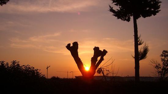 ...wir hatten bis zum Sonnenaufgang gefeiert...