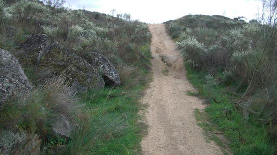 ...und mal nur 10!...