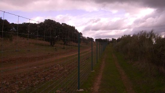 ....dann geht man mal rechts von einem modernen Zaun...