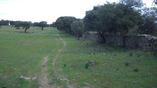 ...und dann mal wieder links von einer alten Mauer...