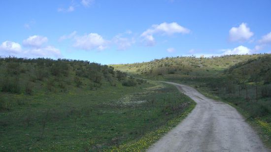 ...mal geht der Weg nach links....