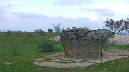 Oberschenkelknochen...
