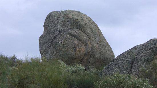 ...sich bueckende Aersche...