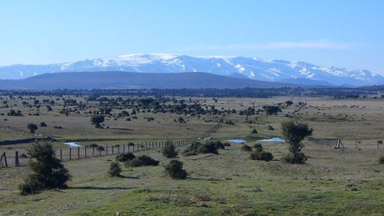 an diesen Bergen bin ich die letzten 4Tage seit Carcoboso entlang gepilgert, mal waren sie nich mehr zu sehen, dann waren se wieder da....