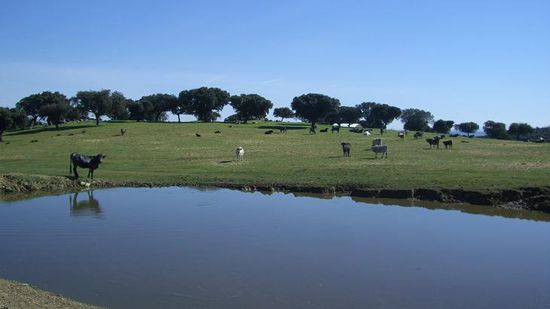 Gruss an Euch alle....kuss an Fritz und Gisela!!!  der Pepe!!!