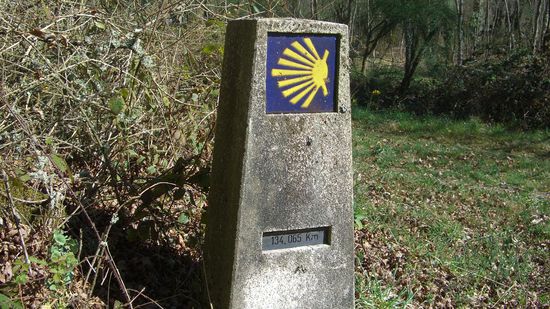 ein Meilenstein vor Ourense...hier steht es sind noch genau 134km bis Santiago...das war heut morgen!!!
