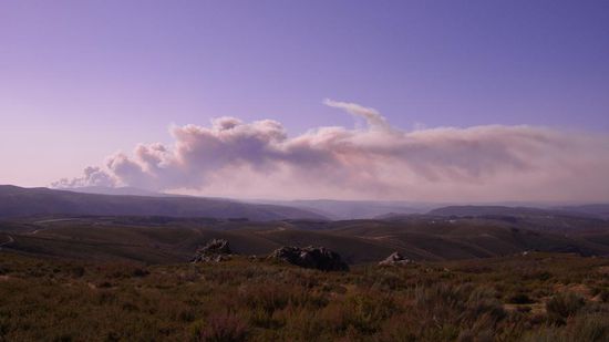 am naechsten morgen...irgendwo in den Bergen um Laza brennt es ganz gehoerig!!!