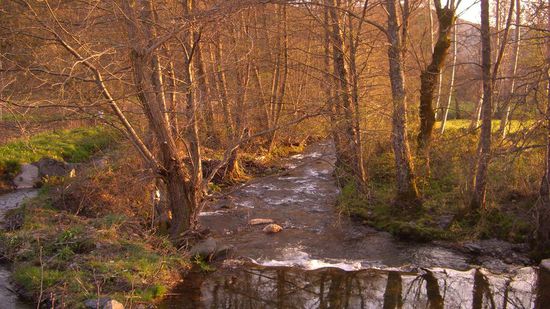 unten angekommen in Laza...da hatten wir ne tolle Herberge! Das Spanische Militaer hatte ne Uebung in den Bergen, und die haben auch in unserer herberge gepennt...