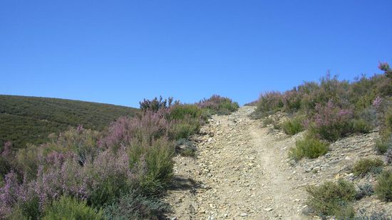 gestern morgen gings recht steil nach oben, das war mehr bergsteigen als Pilgern!!!