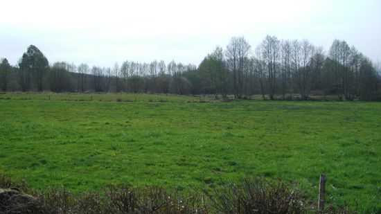 ...auf der anderen Seite der Berge, mittlerweile sind wir seit einigen Tagen in Galicien, sieht es aus wie in Deutschland!!