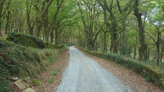 werd das Wandern und die Landscapes schon sehr vermissen...