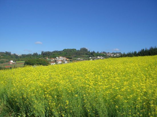 ...hinter diesem Huegel liegt Santiago...