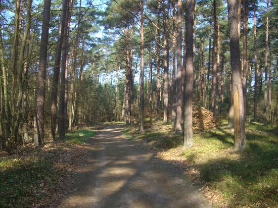 ...und wir haben tolle Wege hier..