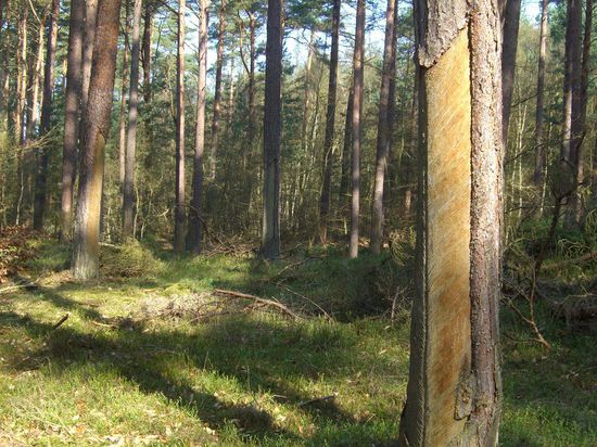 ...Hartzentnahmestellen...