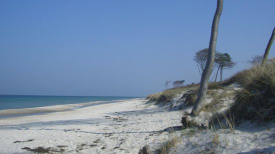 ...den schönsten Strand...