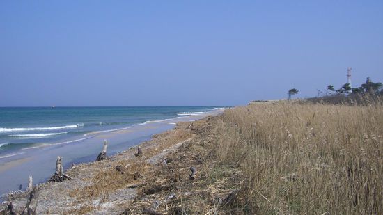 ...die schönste Küste...