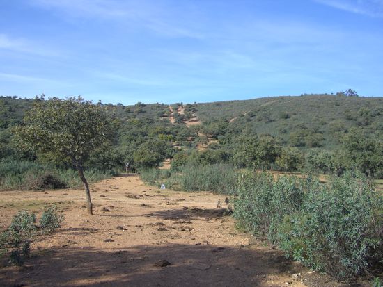 der Weg von Castillblanco nach Almaden de la Plata...30km, mit Gummi-Crocs, 22Grad im Schatten, 15kg Gepaeck und hier zum Schluss nochma n dicker Berganstieg, der abba steiler war, als er hier aufm Foto aussieht... am naechsten Tag hab ich erstma 2.5kg Zeugs nach Hause geschickt mit der Post, Jeans, 2 Shirts, Messer...kein Bock mehr, dat alles zu schleppen...