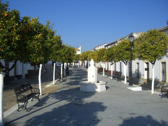 schoener Park mit Orangenbaemen...einem Kiosk nebenan und fix und alle von den 30km...