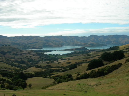 Aussicht auf den Akaroa Harbour