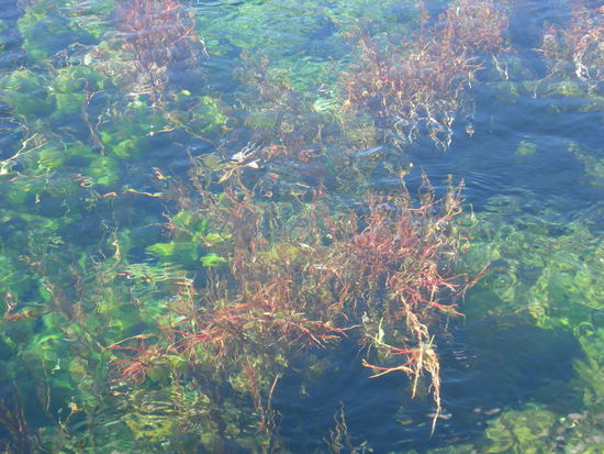 ja, das Wasser ist wirklich soooo klar 