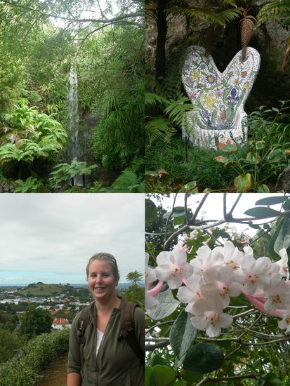 Mt. Eden Garden