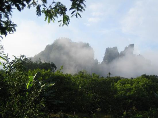 "Morning Mist" - der Name des Resorts ist Programm