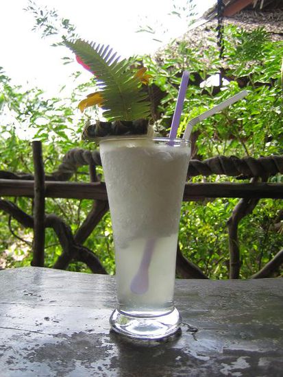 Lemongrass-Shake