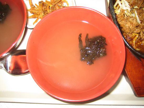 Toter Frosch ? Wir tippten auf Alge, waren uns aber nicht 100%ig sicher...