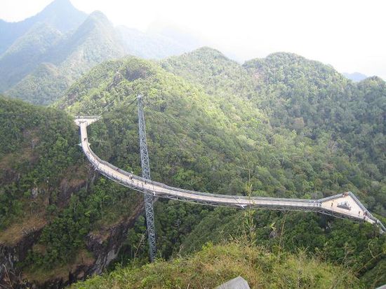 Ueber diese Bruecke durch den Wald zur Mittelstation