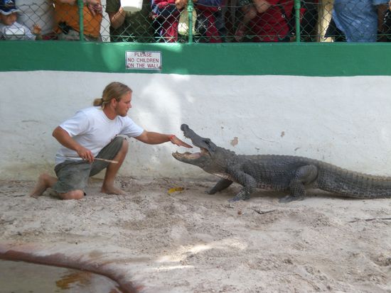 Eine zehntel Sekunde später hat er zugeschnappt!