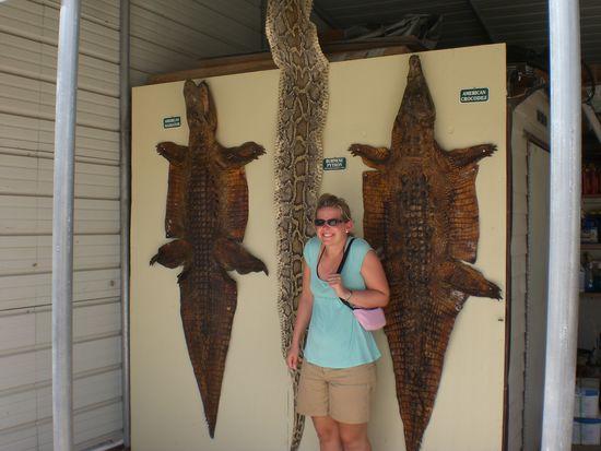 ...keine Angst die beißen nicht...