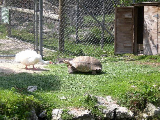 ...und was macht ihr hier???...