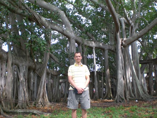 Das ist nur ein Baum, der von oben nach unten seine Wurzeln schlägt, um die Äste zu stützen!!!