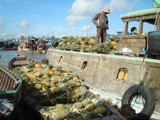 Das Geschäft hat sich gelohnt, da hat jemand Großeinkauf gemacht. Und das große Boot ist immernoch gut gefüllt mit leckeren Ananas