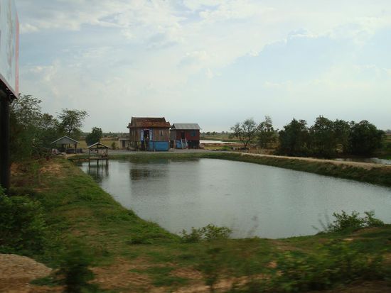 Viele kleine Fischteiche auf der Fahrt von Phnom Penh nach Siem Reap