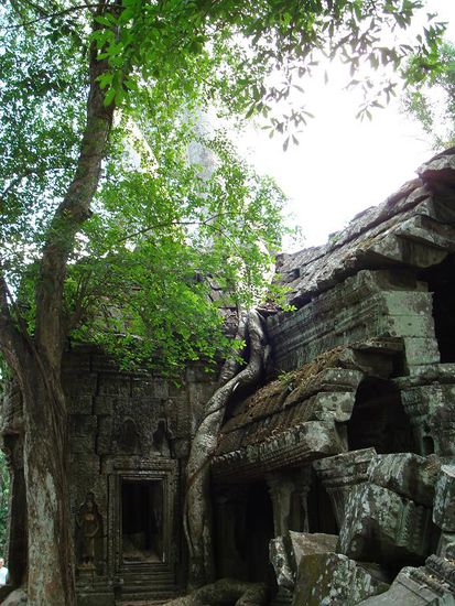 Von Menschenhand gebaut - von der Natur zurück erobert.