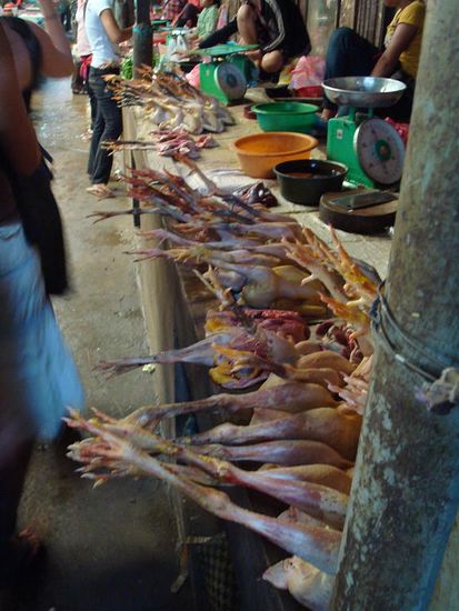 zeigt her eure Füße, zeigt her eure Beine 