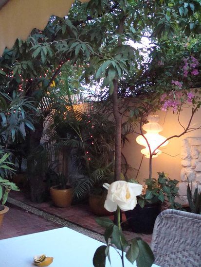 Blick beim Schreiben des Reiseberichtes im Del Gusto Boddhi Tree