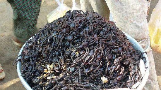 fried spiders als Snack, jedoch nicht fuer uns ...