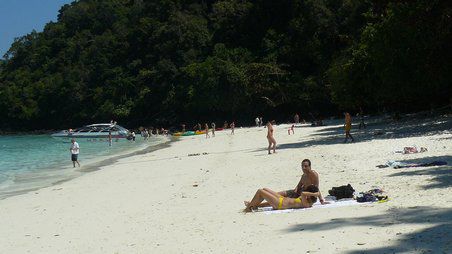 Monkey Beach - hier gibts Affen die man füttern kann
