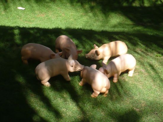 Meine kleine Farm direkt vor der Tür.