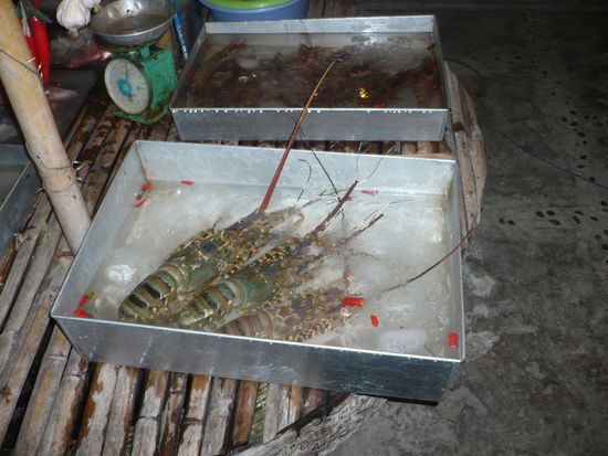 Da aß ich doch lieber den aus der Mitte, grins